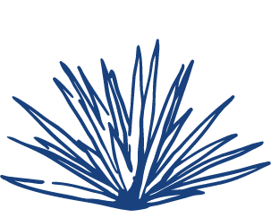 straight and fibrous, green to light green