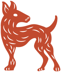 Marrillero Dog our owm mexican dog breed, sips mezcal every morning before chasing wheeled vehicles